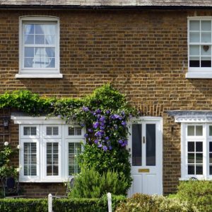 Two elegant houses, semi-detached with gardens and ivy